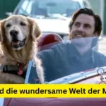 Enzo Stranger Things: Charakter-Guide