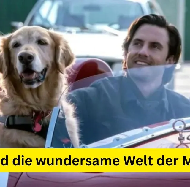 Enzo und die wundersame Welt der Menschen