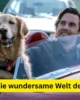 Enzo und die wundersame Welt der Menschen