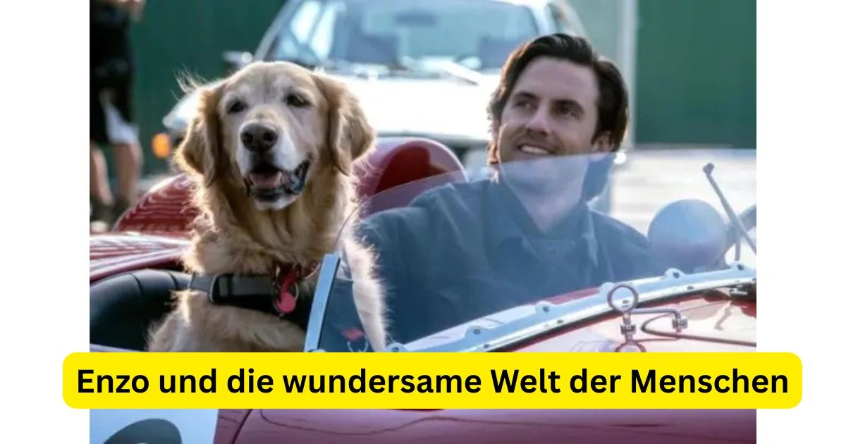 Enzo und die wundersame Welt der Menschen