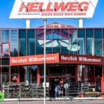 Vera Davich — Die Frau, die das Internet nicht vergessen lässt